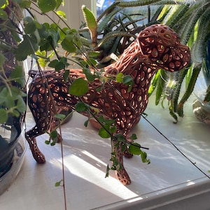Dawne added a photo of their purchase
