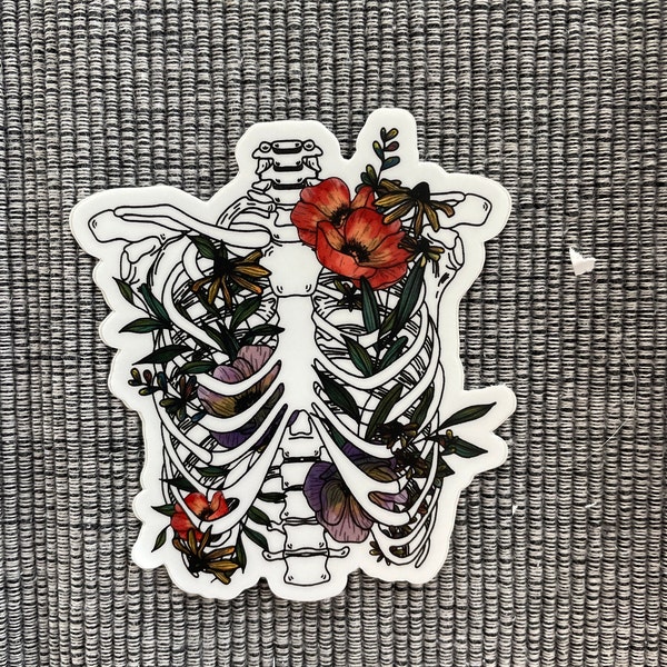 Ribs | Sticker - Etsy