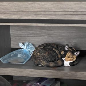 Jonathan ha añadido una foto de su compra