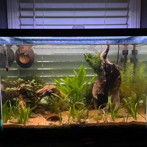 Vanessa added a photo of their purchase