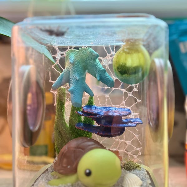 3D Universal Treehouse Insert for Jumping Spiders and Invertebrate ...