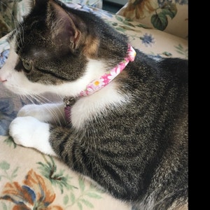 Sharon added a photo of their purchase