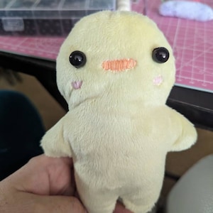 Kim added a photo of their purchase