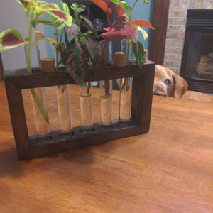 Lisa added a photo of their purchase