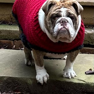 Mike added a photo of their purchase