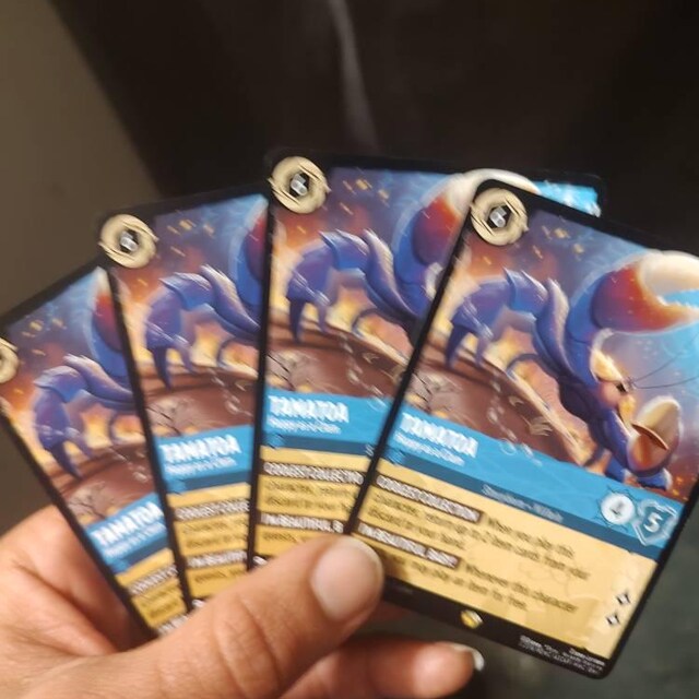 タマトア、貝のように幸せ ロルカナ プロキシ/オリカ、コモン/ホロ