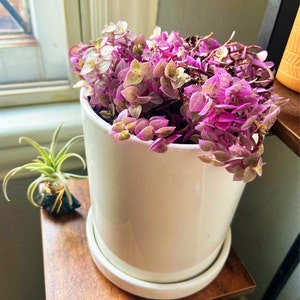 Mad-e added a photo of their purchase