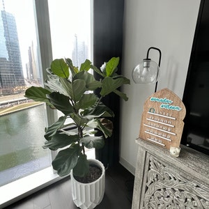Abiha heeft een foto van de aankoop toegevoegd