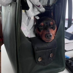Tara ha añadido una foto de su compra