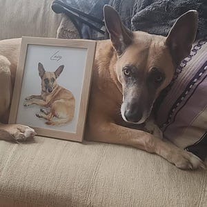 Charlene added a photo of their purchase