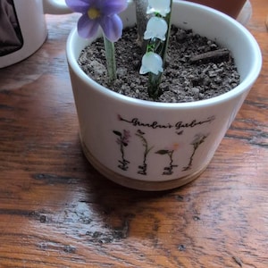 lynn added a photo of their purchase