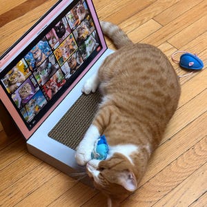 jodie added a photo of their purchase