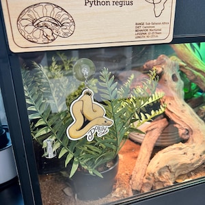 E added a photo of their purchase