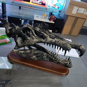 大型スピノサウルス頭蓋骨レプリカ：博物館級の化石、硬材製台座付き