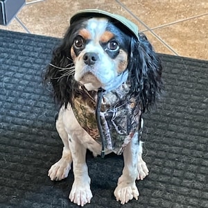 Cindy added a photo of their purchase