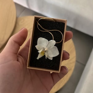 Alischa ha añadido una foto de su compra
