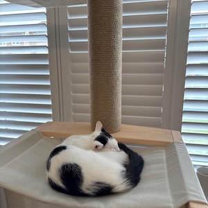 Barbara added a photo of their purchase