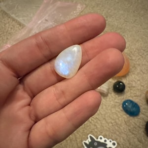 Stevie added a photo of their purchase