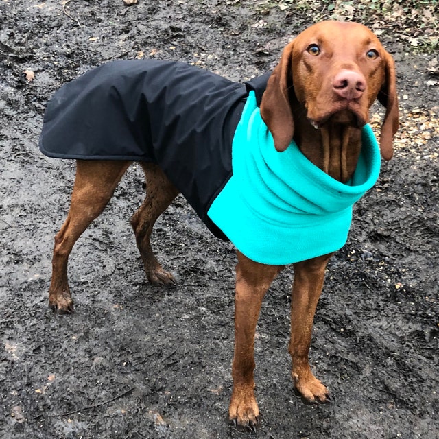 Beautifully crafted handmade dog coats by DashwoodDogCoats