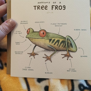 Dutch a ajouté une photo de son achat