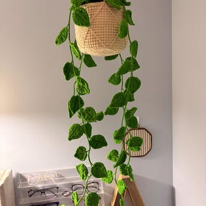 Allison added a photo of their purchase