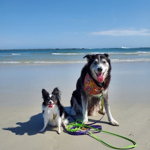 Megan added a photo of their purchase