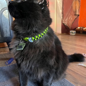 Symmie added a photo of their purchase