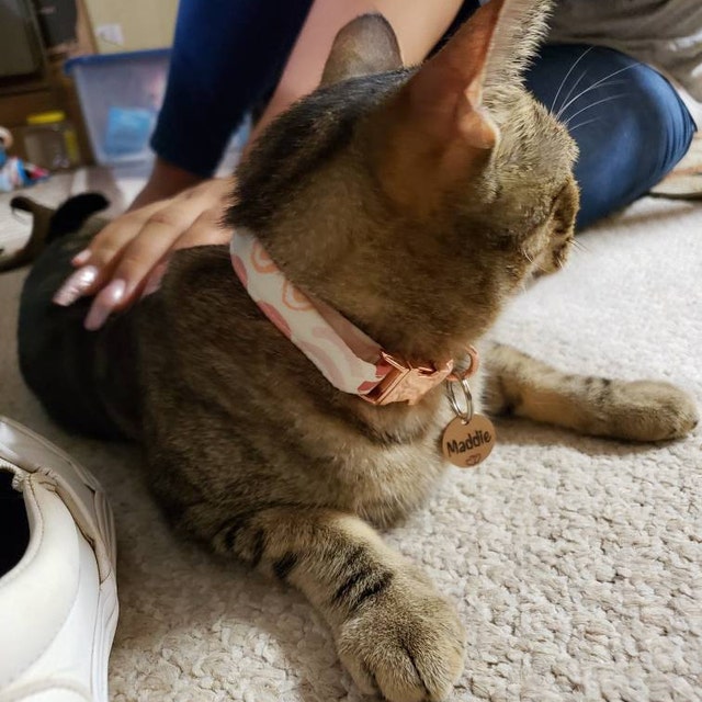 【babytoly 】NEW Camille Collars Camille Dog Collar - Geometric Doodle Pet Collar, Peach, Tan, Clay