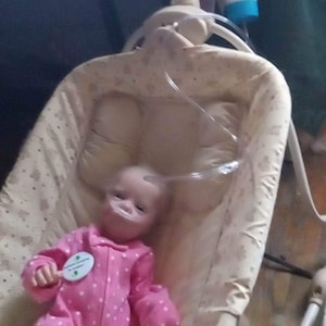 Melissa added a photo of their purchase