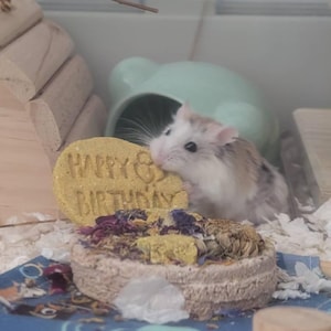 Gretta added a photo of their purchase