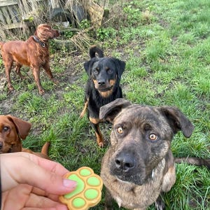 J added a photo of their purchase