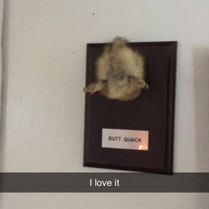 Tara ha añadido una foto de su compra