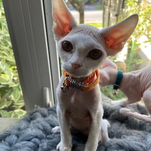 Sarah a ajouté une photo de son achat