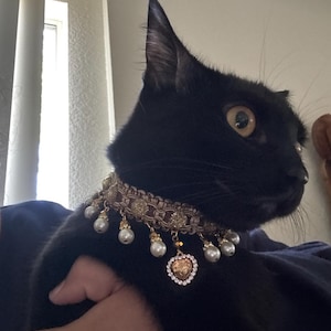 Jazmin added a photo of their purchase