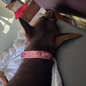 BELLA added a photo of their purchase