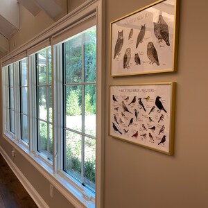 Lisa ha añadido una foto de su compra