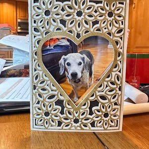 Marcia added a photo of their purchase