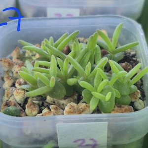 Elly added a photo of their purchase