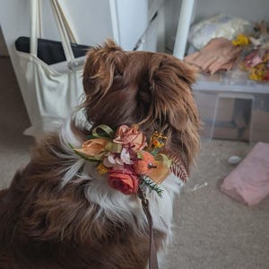 Sasha a ajouté une photo de son achat