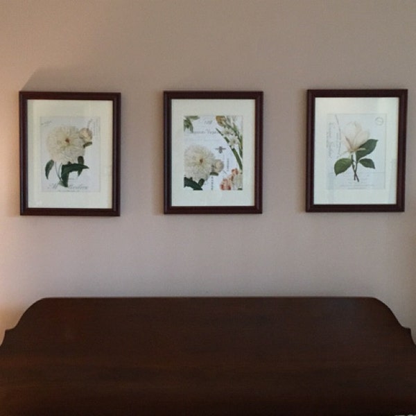 French Botanical Collage Print Set No. 3, Botanical, Print Set, Wall ...