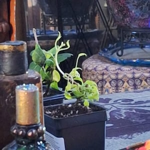 Linda added a photo of their purchase