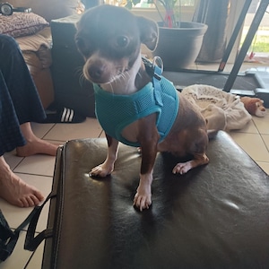 Raquel ha aggiunto una foto del proprio acquisto