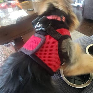 Gloria ha aggiunto una foto del proprio acquisto