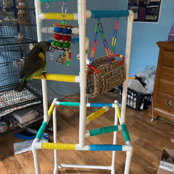 Parrot Play Gym Stand – PVC Bird Playground for Small Medium Birds - Etsy