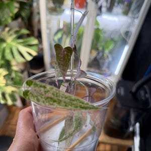 Joette added a photo of their purchase