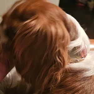Julie added a photo of their purchase