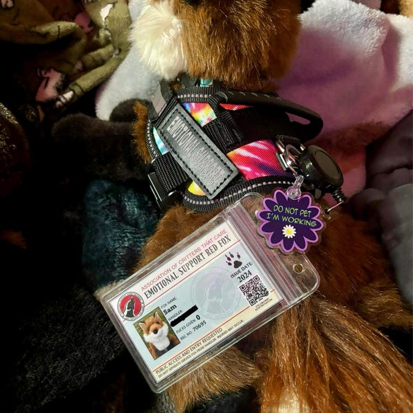 ESSA Charm Key Ring Emotional Support Make Your Own Stuffed Animal ...