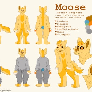 Moose さんが購入した商品の写真を追加しました