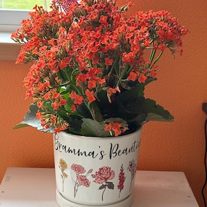 Kay added a photo of their purchase