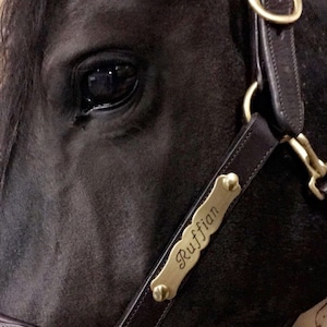 Halter Plate Thick Large Ornate Solid Brass Or Solid Nickel Etsy